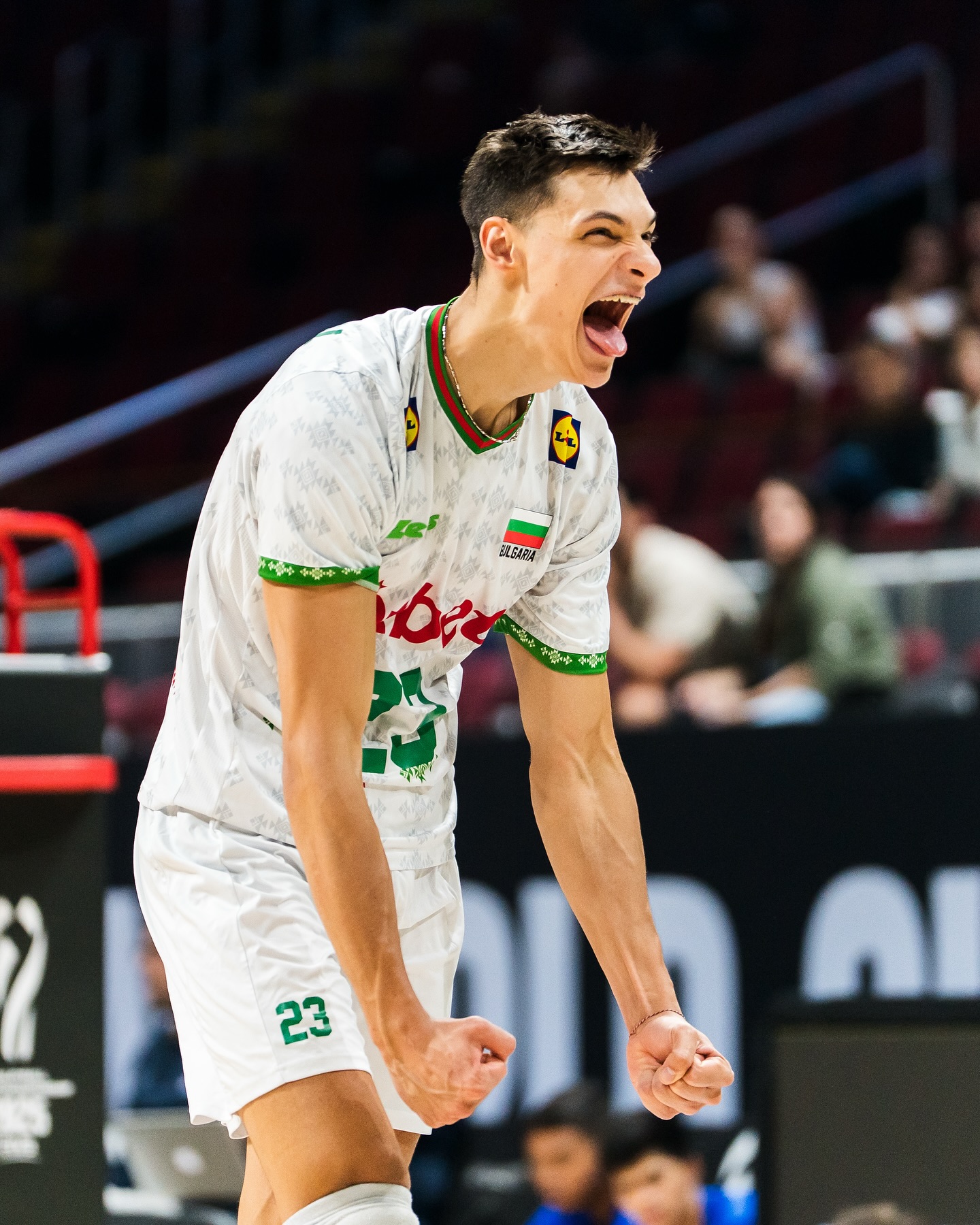 الکساندر نیکولوف تیم ملی بلغارستان