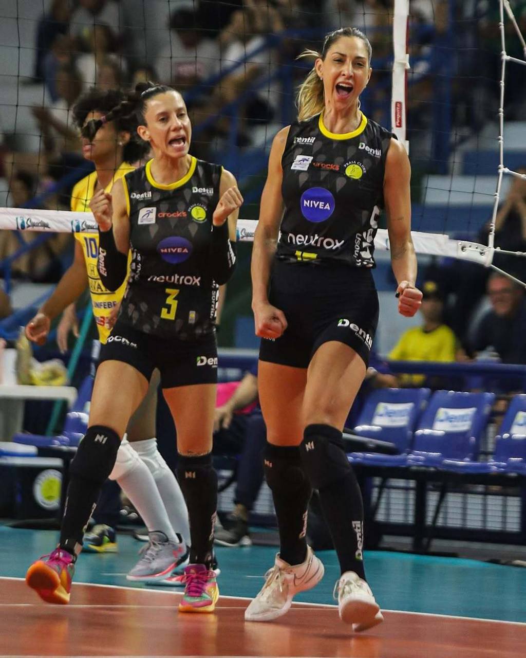 Carol Gattaz wallpaper hd 