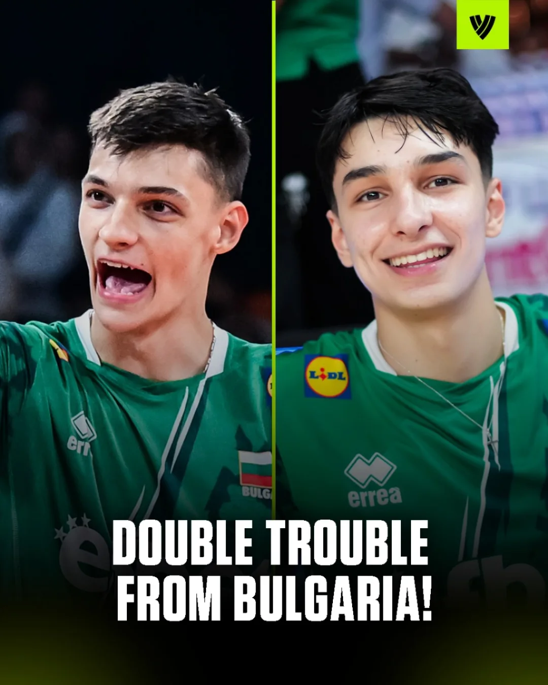 سیمون و الکساندر نیکولوف