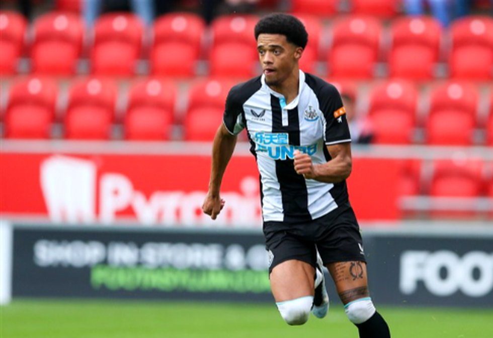 عکس های جمال لوییس