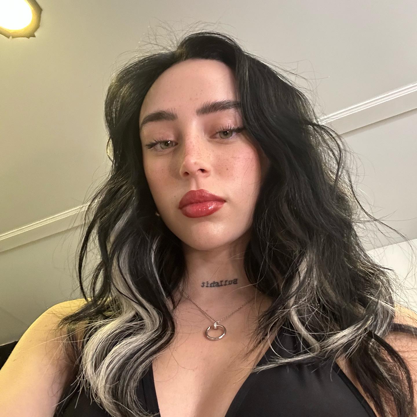 کنسرت های نیکی نیکول کنسرت های نیکی نیکول