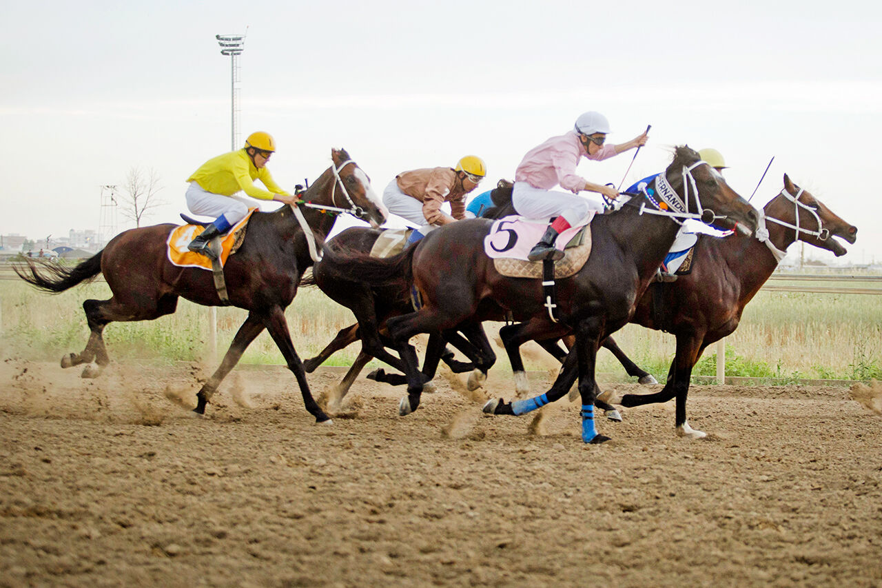 قیمتهای ویژه بلیتهای اسبدوانی دبی قیمتهای ویژه بلیتهای اسبدوانی دبی