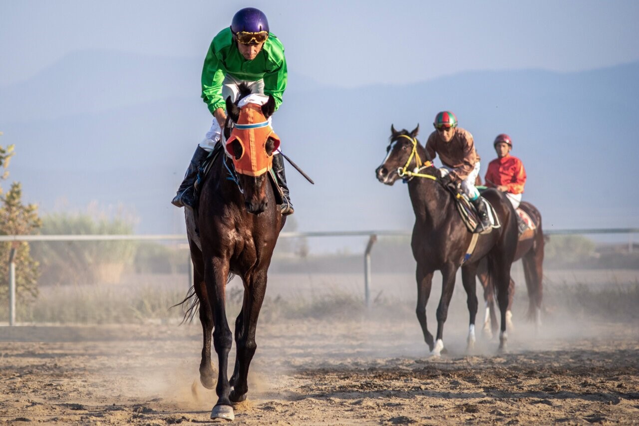 بستههای ویژه مسابقات اسبسواری دبی بستههای ویژه مسابقات اسبسواری دبی