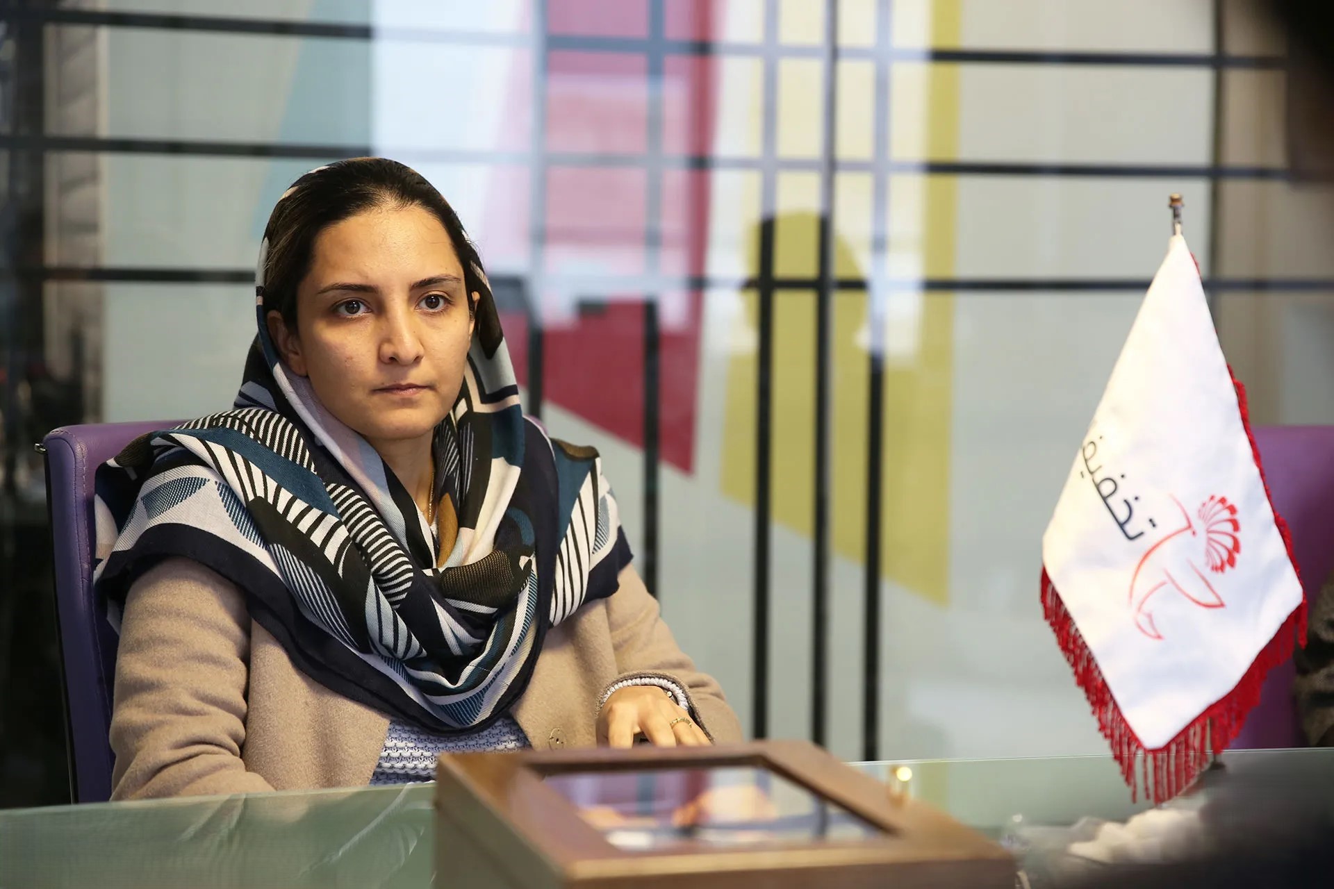 بیوگرافی نازنین دانشور بیوگرافی نازنین دانشور