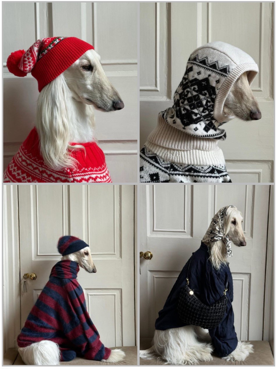 عکس سامانتا عکس سامانتا