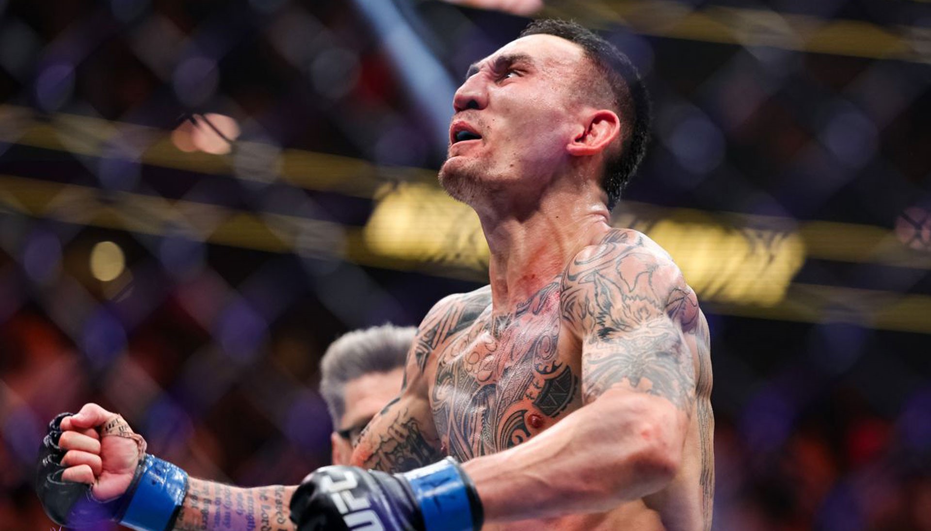 مکس هالووی سلطان ضربهها مکس هالووی سلطان ضربهها