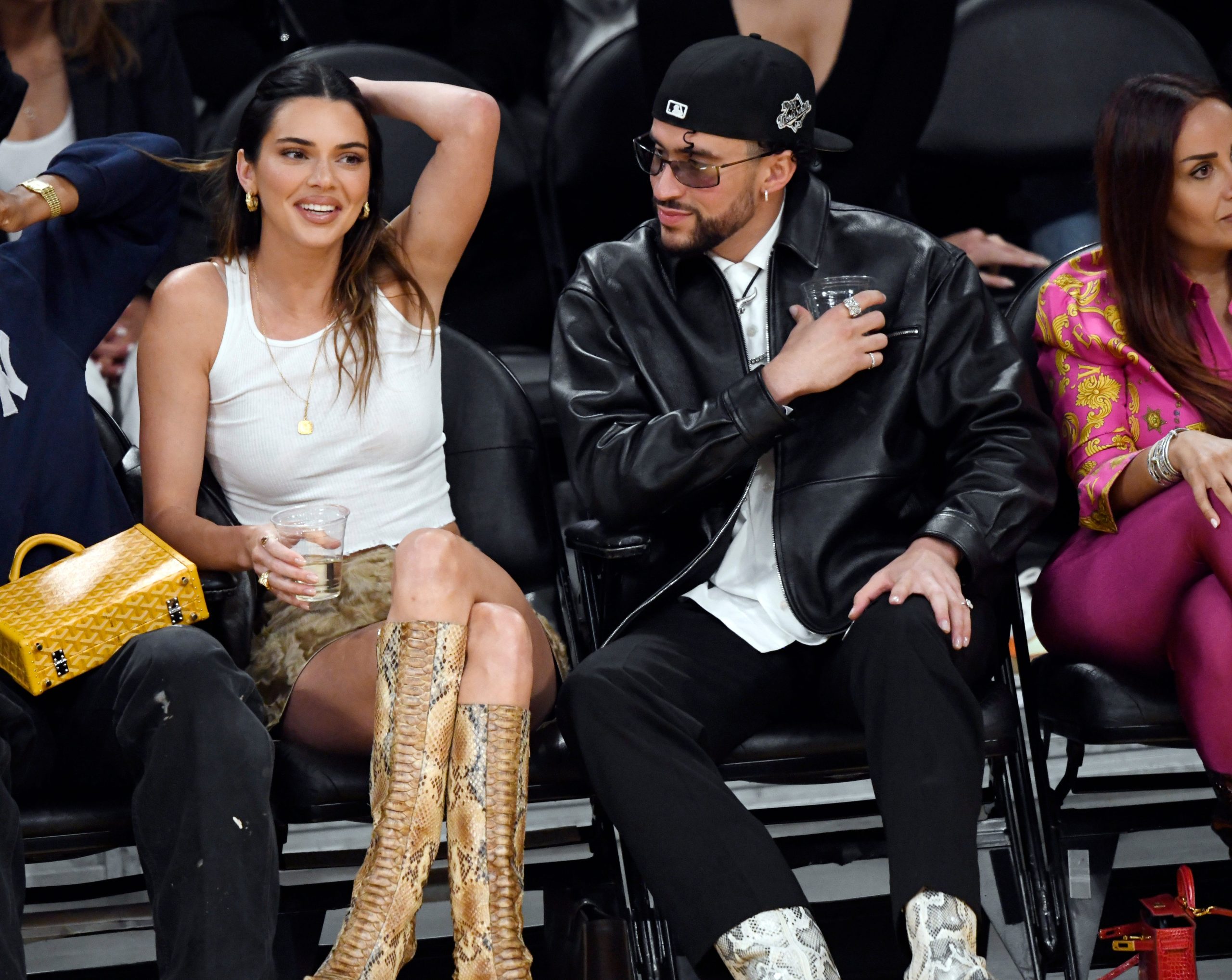 بد بانی و کندال جنر بد بانی و کندال جنر