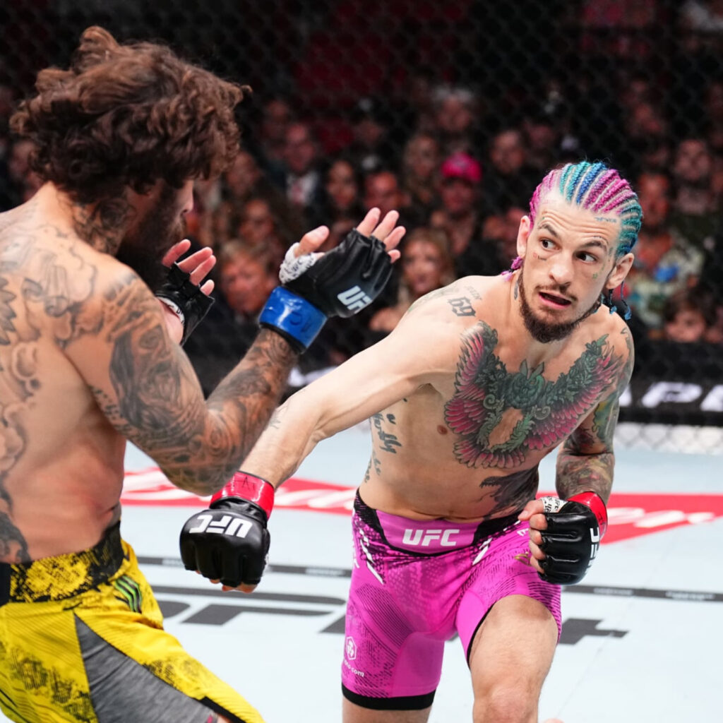 شان اومالی ستاره نوظهور UFC شان اومالی ستاره نوظهور UFC