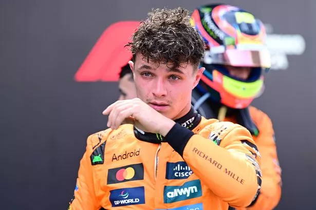 عکس پروفایل لندو نوریس 